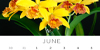Monthly Growing Tips