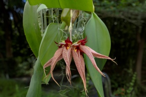 Image 297-14