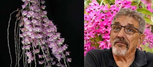 Monthly SAOS Meeting