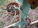 Cattleya Leaves Dehydrated