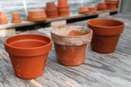 Salt Encrustation on Clay Pots