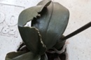 Something Eating Phalaenopsis Leaves