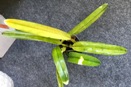 Yellow Cattleya Leaf